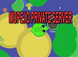 mope.io private server