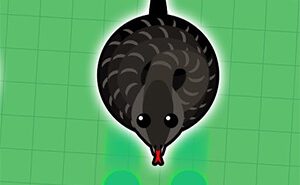 Mope.io Cobra mope.io cobra