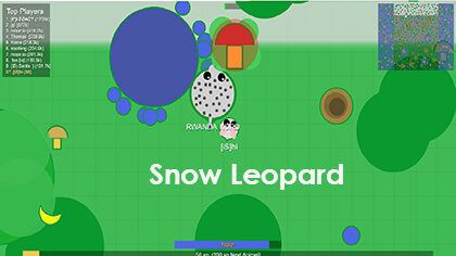 mope.io snow leopard