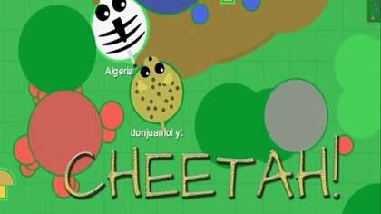 mope.io cheetah