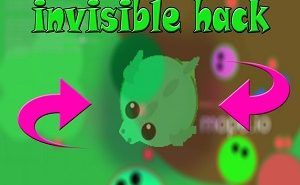 Do Mope.io Hacks Work? mope.io hacks