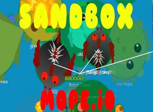 Mopeio Sandbox 2019 Server